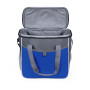 Термосумка Cooler, TM Discover