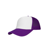 Truckers Mesh Cap