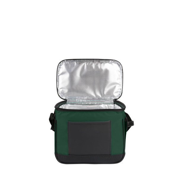 Термосумка Coolerbag S, TM Discover