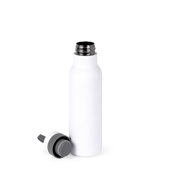 Термопляшка Bloom, ТМ Discover